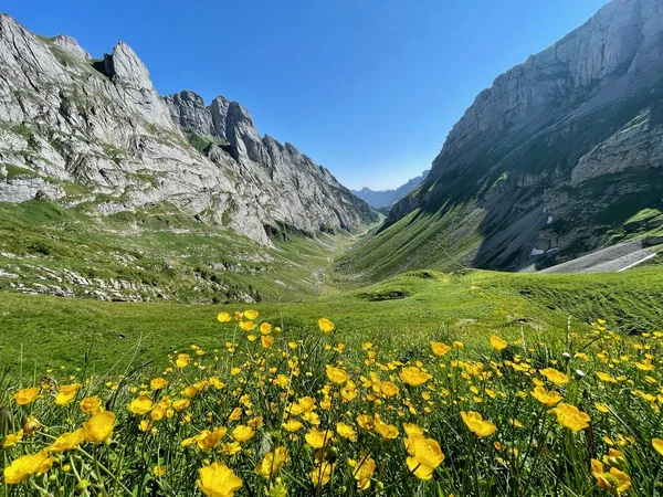 瑞士阿彭策尔Alpstein的Faelenalp和Faelensee全景 高质量的照片 — 图库照片