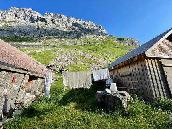 Faelenalp Alpstein Appenzell Zwitserland Hoge Kwaliteit Foto — Stockfoto