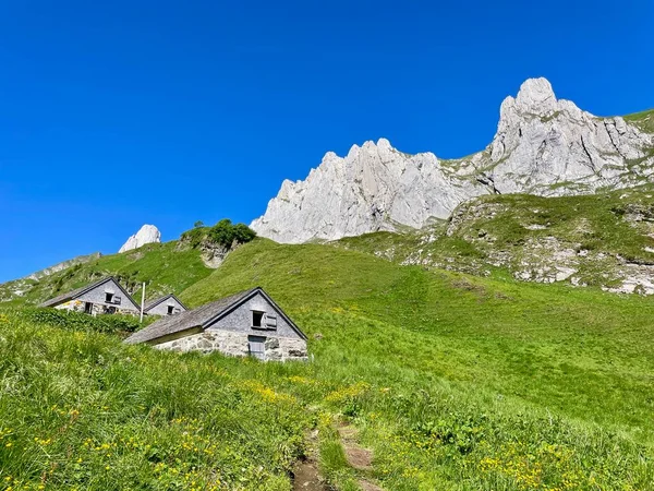 Panorámás Kilátás Alp Haederen Alpstein Appenzell Svájc Kiváló Minőségű Fénykép — Stock Fotó