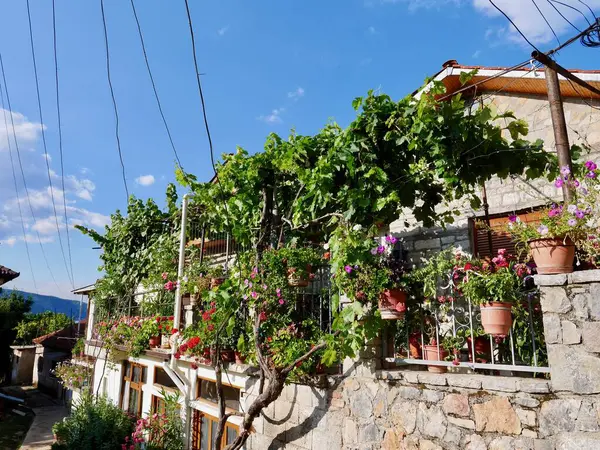Arka planda Arnavutluk 'un Lin kentinde, Ohri Gölü' nde tipik bir konut. Yüksek kalite fotoğraf