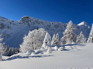 Kayak merkezi Brand, Vorarlberg, Avusturya 'da güzel bir kış manzarası. Yüksek kalite fotoğraf