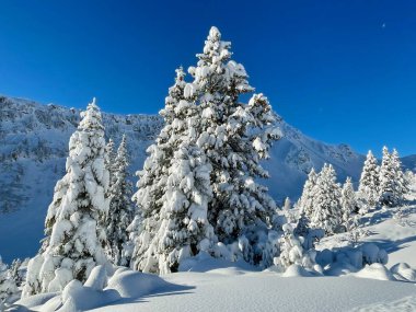 Kayak merkezi Brand, Vorarlberg, Avusturya 'da güzel bir kış manzarası. Yüksek kalite fotoğraf