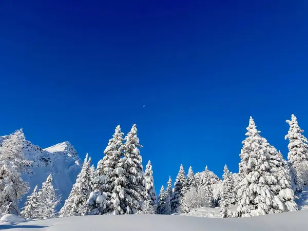 Kayak merkezi Brand, Vorarlberg, Avusturya 'da güzel bir kış manzarası. Yüksek kalite fotoğraf