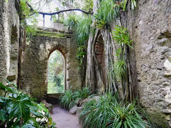 Portekiz, Sintra 'daki Monserrate Sarayı' nda kilise harabesi. Yüksek kalite fotoğraf