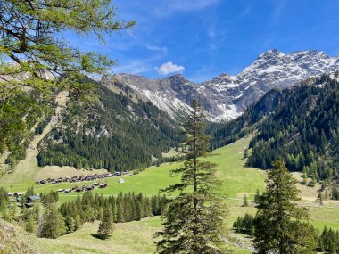 Panoramic view of wooden huts in Nenzinger Himmel. Vorarlberg, Austria. High quality  clipart