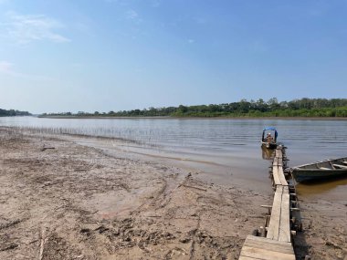 Kolombiya 'da kurak mevsimde Amazon' un kollarında ahşap rıhtım. Yüksek kalite fotoğraf