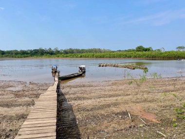 Kolombiya 'da kurak mevsimde Amazon' un kollarında ahşap rıhtım. Yüksek kalite fotoğraf