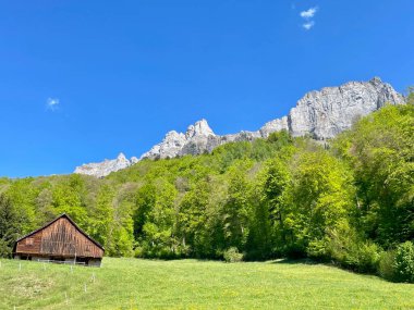 Churfirsten, St.Gallen, İsviçre 'nin panoramik manzarası. Yüksek kalite fotoğraf