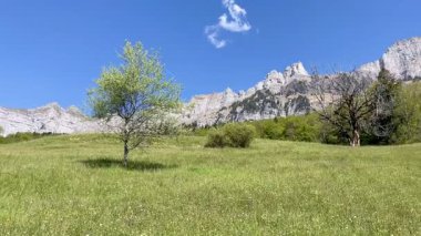 Churfirsten, St.Gallen, İsviçre 'nin panoramik manzarası. Yüksek kalite 4k görüntü
