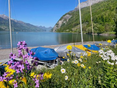 Walensee 'deki Walenstadt, St. Gallen, İsviçre' den panoramik manzara. Yüksek kalite fotoğraf