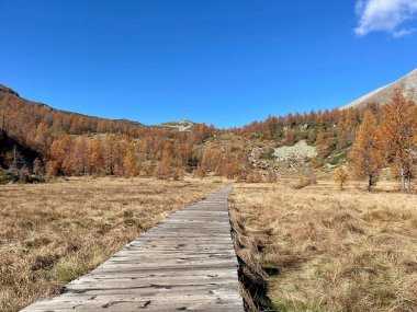 Valle Bognanco, İtalya 'nın sonbahar manzarası. Yüksek kalite fotoğraf