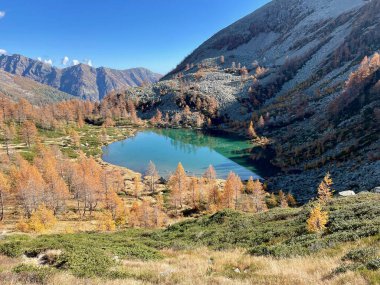 Renkli karaçam ağacı, İtalya Valle Bognanco 'da alp gölü olan sonbahar manzarası. Yüksek kalite fotoğraf