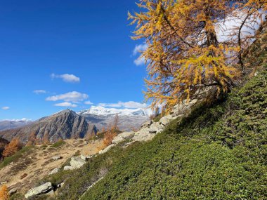 Zwischbergen, Wallis, İsviçre 'de renkli bir sonbahar sahnesi. Yüksek kalite fotoğraf