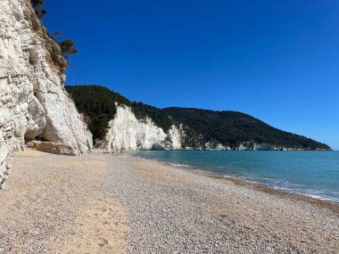 Vignanotica Plajı, Puglia, İtalya. Yüksek kalite fotoğraf