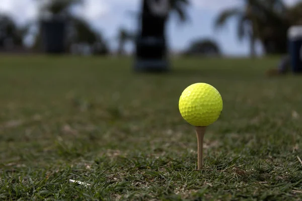 Golflabda Pályán Sekély Mélységélesség Koncentrálj Labdára — Stock Fotó