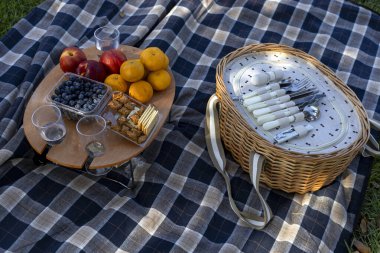 Piknik takımları, meyveler, kurabiyeler ve suyla dolu sepetli kareli masa örtüsü.