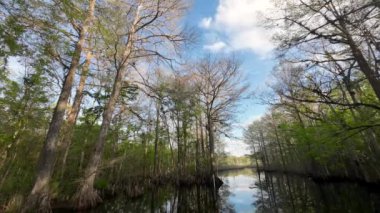 Everglades Ulusal Parkı, Florida 'da bulut zamanı