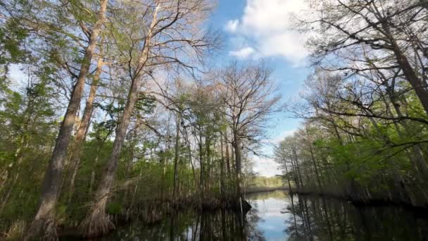 Včasná Oblačnost Národním Parku Everglades Floridě — Stock video