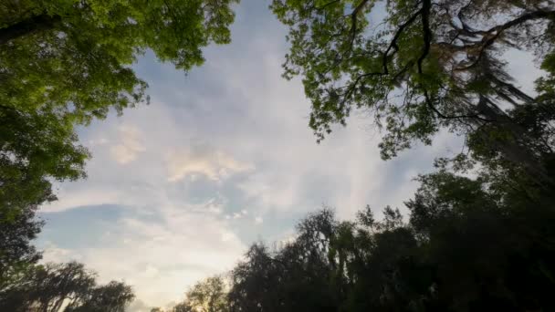 Timelapse Nubes Atardecer Enmarcado Entre Bosque — Vídeo de stock