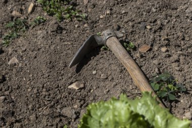 Peru 'da kırsal kesimlerde kullanılan çapa çalışması