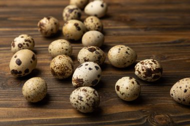 Kahverengi ahşap bir masada taze bıldırcın yumurtaları. Çiğ bıldırcın yumurtası. Sağlıklı yiyecekler. Yemek pişirmeye hazırlık konsepti. Mesaj için yer. Kopyalanacak yer.