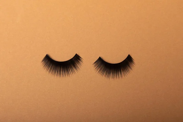 False eyelashes on a brown background. Flatley. Beauty and fashion concept. Eyelash extension. beauty industry. Place for text. Place to copy.