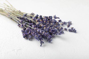 Beyaz arka planda lavanta çiçekleri. Güzel kokulu buket. Düz kompozisyon. Düz çizgi. Metin için yer, kopya için yer. MOCAP