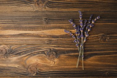 Kahverengi arka planda lavanta çiçekleri. Güzel kokulu buket. Düz kompozisyon. Düz çizgi. Metin için yer, kopya için yer. MOCAP