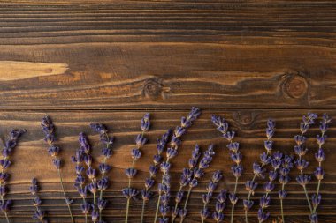 Kahverengi arka planda lavanta çiçekleri. Güzel kokulu buket. Düz kompozisyon. Düz çizgi. Metin için yer, kopya için yer. MOCAP