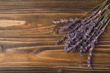 Kahverengi arka planda lavanta çiçekleri. Güzel kokulu buket. Düz kompozisyon. Düz çizgi. Metin için yer, kopya için yer. MOCAP