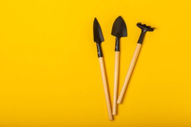 Garden tools on a bright yellow background. Space for text. Space for copy. Top view. Gardening concept.Working in the garden.Hobby. Garden shovels and rakes on a textured background.