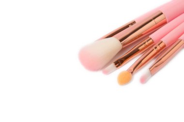 Cosmetic makeup brush isolated on white background. Professional makeup brush set.