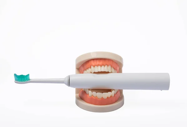 電子超音波歯ブラシと顎モデルは白い背景に隔離されています 歯の概念 口腔ケア 介護予防 — ストック写真
