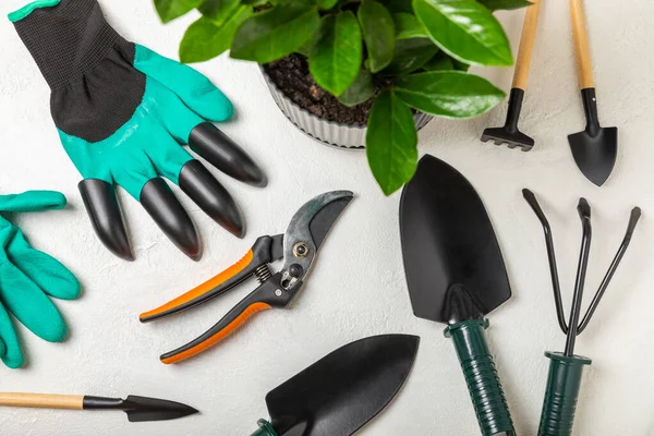 Gardening tools on a yellow background in a greenhouse. Spring in the garden. Garden shovels and rakes, pruner, gardening gloves on bright background.Gardening and hobby concept.Place for text.