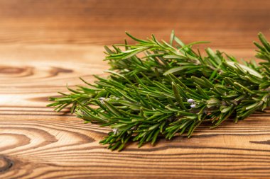 Kahverengi ağaçta taze biberiye. Bir demet taze kokulu biberiye. Et ve balık için baharat ve otlar. Yemek tarifi. Mutfak konsepti. Mesaj için yer var. Kopya için yer var. Düz yatıyordu.