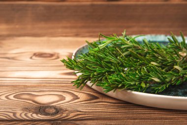 Kahverengi bir odunda mavi bir tabakta taze biberiye. Bir demet taze kokulu biberiye. Et ve balık için baharat ve otlar. Yemek tarifi. Mutfak konsepti. Organik bitkiler. Metinler için yer. Kopya için yer var. Düz yatıyordu.