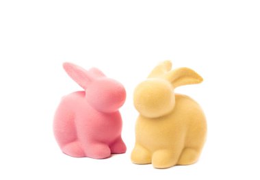 Paskalya dekoru. Paskalya tavşanı ve söğüt dalları beyaz arka planda izole edilmiş. Paskalya tatili konsepti. Bahar buketi söğüdü. Ev ve tatil masası için dekorasyon. Boşluğu kopyala.