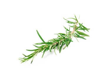 Biberiye beyaz arka planda izole edilmiş. Taze baharat. Et ve balık çeşnisi. Tarif.