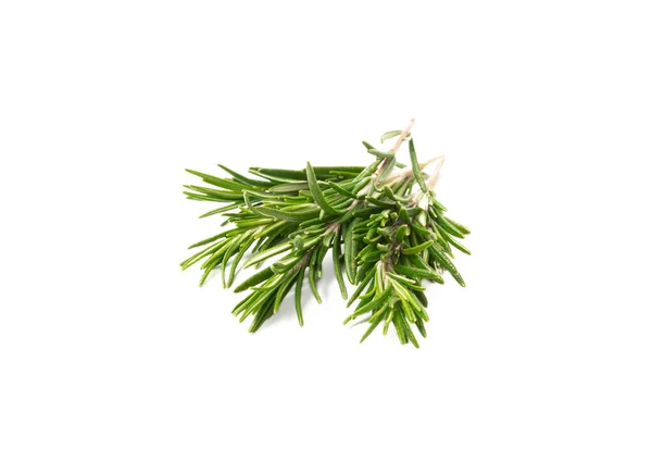 Rosemary Isolated White Background Fresh Spice Herbs Seasoning Meat Fish — Stock Photo, Image
