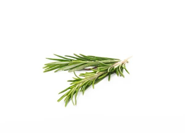 Rosemary Isolated White Background Fresh Spice Herbs Seasoning Meat Fish — Stock Photo, Image