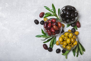 Mavi arka planda yeşil, kırmızı ve siyah zeytin seti. Farklı türde zeytin ve taze zeytin yapraklı zeytin yağları. Lezzetli. Akdeniz mutfağı. Boşluğu kopyala.