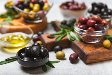 Mavi arka planda yeşil, kırmızı ve siyah zeytin seti. Farklı türde zeytin ve taze zeytin yapraklı zeytin yağları. Lezzetli. Akdeniz mutfağı. Boşluğu kopyala.