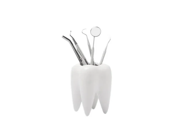 Οδοντιατρικά Όργανα Και Οδοντικό Μοντέλο Που Απομονώνονται Λευκό Φόντο Επαγγελματικά — Φωτογραφία Αρχείου