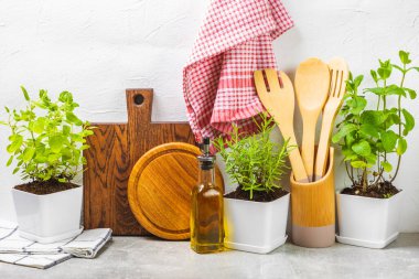 Tencerelerde taze bahçe otları. Biberiye, nane, kekik ve kekik, beyaz kaplarda. Baharat ve baharat tohumları. Tencerede çeşitli taze otlar. Ev aroması ve aşçılık bitkileri. Metinler için yer.