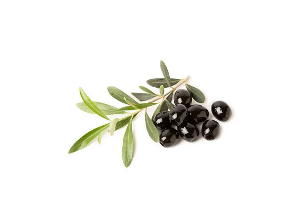 Svarta Oliver Isolerade Vit Bakgrund Olivträd Löv Vegansk Ingredienser För — Stockfoto