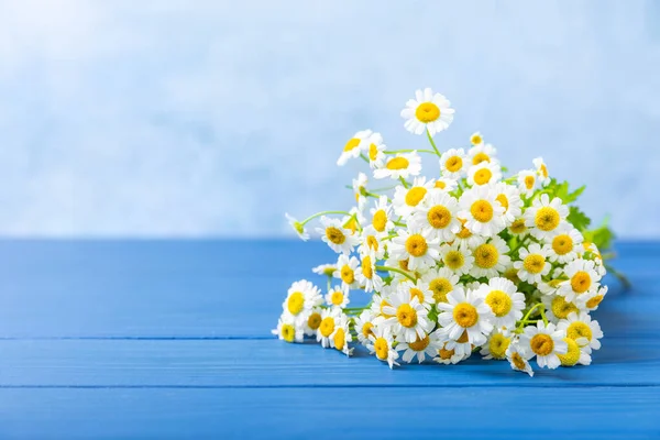 Buquê Margaridas Fundo Leve Bouquet Perfumado Primavera Verão Flores Silvestres — Fotografia de Stock