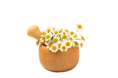 Beyaz arka planda izole edilmiş papatya çiçekli havan topu. Tahta havan ve papatya çayı. Şifalı bitkiler..