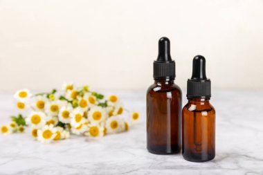 Papatya yağı. İçinde papatya yağı bulunan cam şişe mermer kaplama. Papatya çiçekleri, yaklaşın. Aromaterapi, spa ve bitkisel ilaç malzemeleri. Kopya için yer var. Güzellik konsepti.