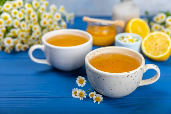 Chá Ervas Camomila Com Botões Flores Uma Mesa Madeira Azul — Fotografia de Stock