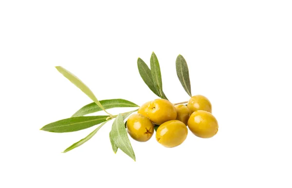 Delicious Green Olives Isolated White Background Olive Olive Tree Branches — Stock Photo, Image